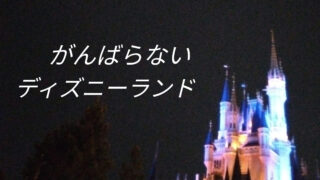 【20年ぶりの東京ディズニーランド】5歳子連れビギナーの楽しみ方|予定の立て方が超大事