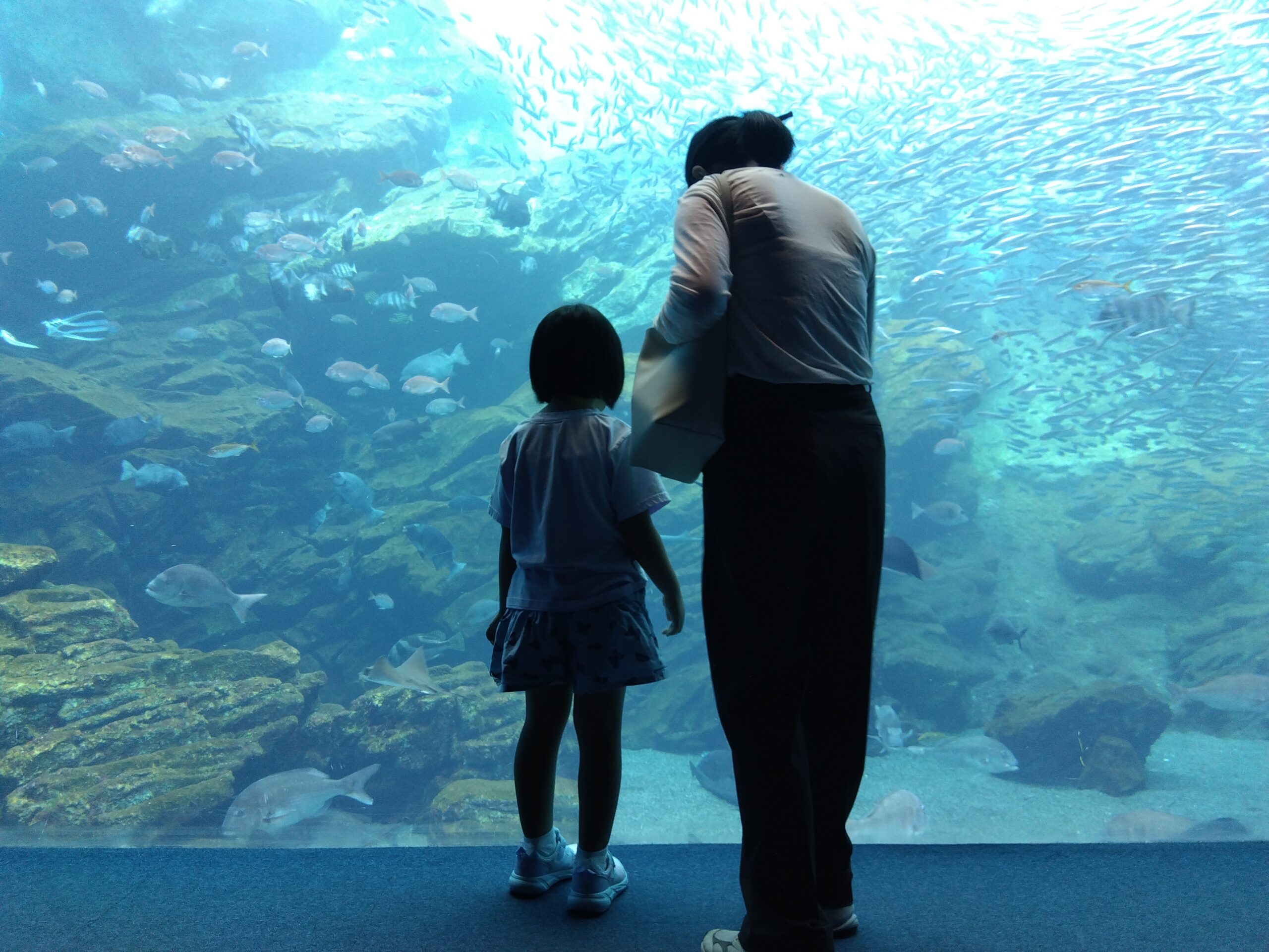 【仙台】うみの杜水族館 完全ガイド|子連れで楽しむ展示・注目記事まとめ