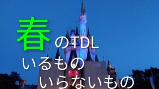２０年ぶりに子ども（５才）と春のディズニーランド！持って行ってよかったもの・いらなかったもの徹底解説