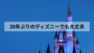 20年ぶりに子ども(5才)と春のディズニーランド!持って行ってよかったもの・いらなかったもの徹底解説