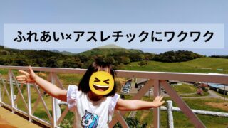 【気仙沼モーランド・本吉】丘の上のアスレチック＆ローラー滑り台が最高！動物ふれあい体験も楽しめる自然派スポット