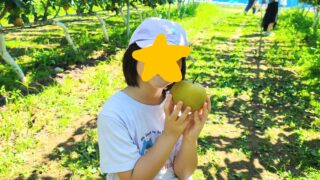 仙台市で梨狩りするならフルーツパークあらはま｜料金・予約・子連れレポ