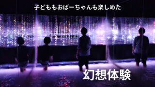 【体験談】チームラボプラネッツ東京（豊洲）に3世代で行ってきた｜混雑・注意点・基本情報まとめ