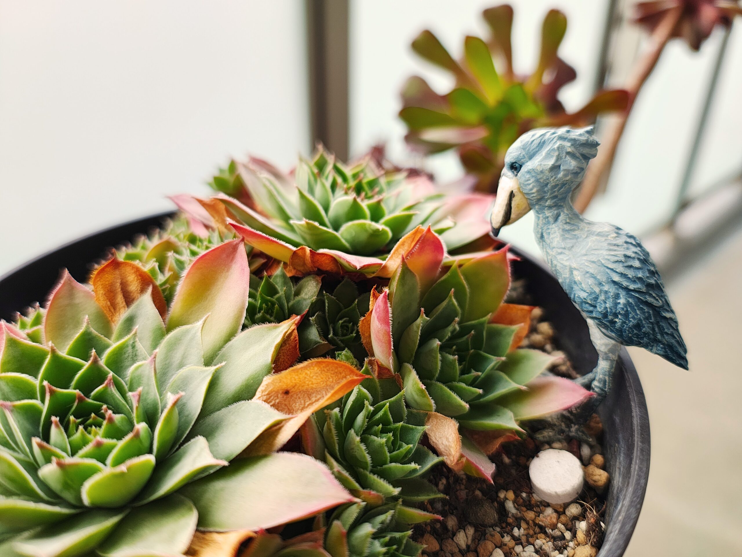 ✦ 育児中でもできる趣味10選｜忙しいママでも続けやすい“癒し系”だけ厳選