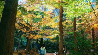 松島・円通院の紅葉は息をのむ美しさ【子連れで楽しむ秋】