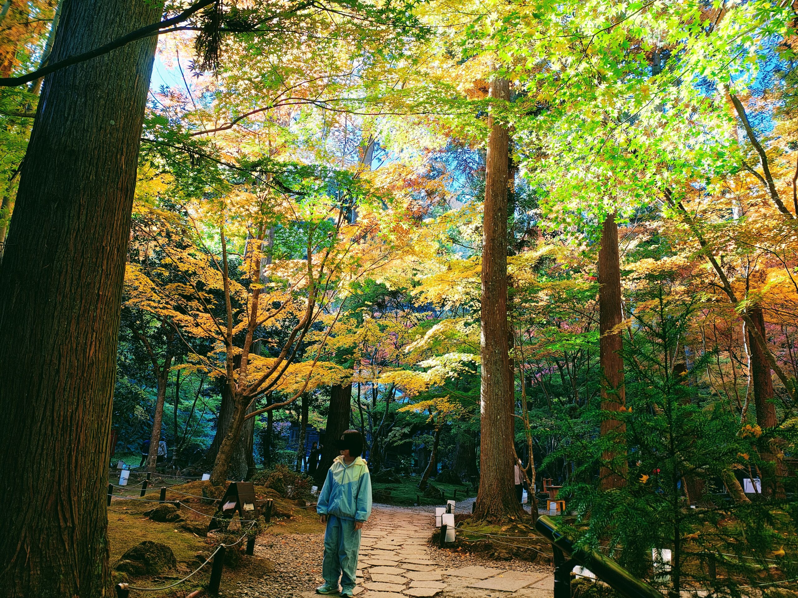 松島・円通院の紅葉は息をのむ美しさ【子連れで楽しむ秋】