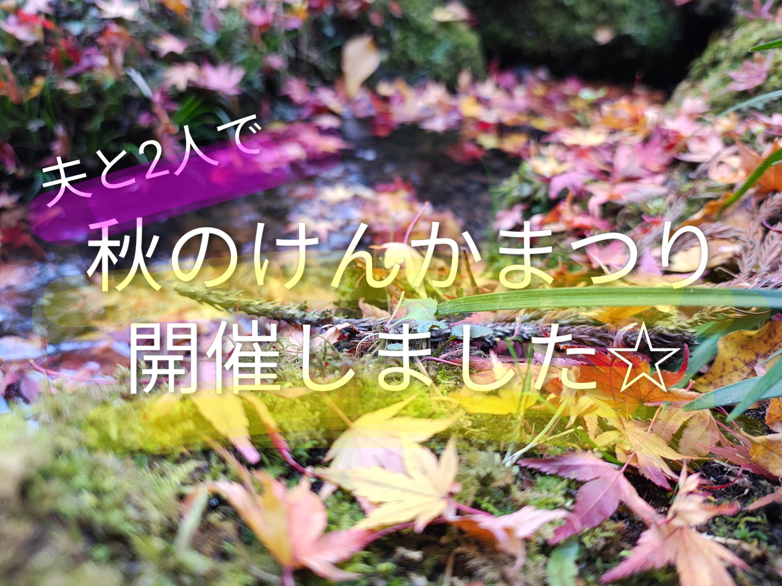 夫婦で秋の「けんかまつり」開催【全部ぶつけたら夫が変わった話】