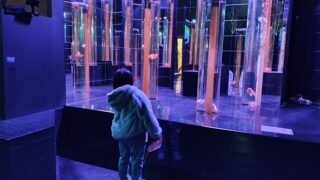 【仙台・アクアテラス錦ヶ丘】アート空間で生きものの展示を楽しむ｜親子で体験する不思議な場所
