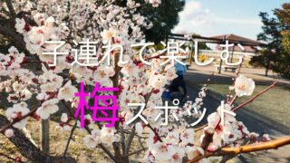 3月の仙台農業園芸センターへ｜小1の娘とおでかけしてきました