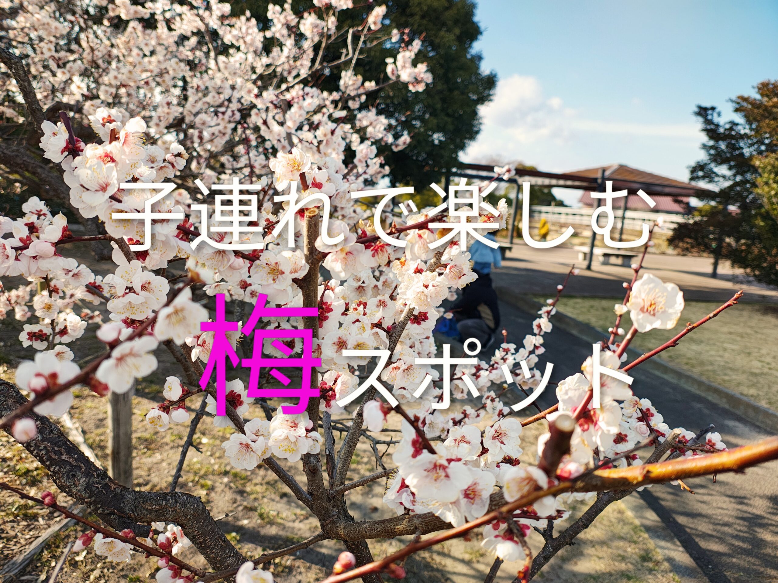 3月の仙台農業園芸センターへ｜小1の娘とおでかけしてきました