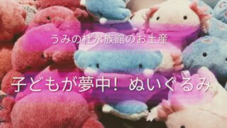 【仙台うみの杜水族館】お土産のぬいぐるみ選びが楽しすぎた！子どもが夢中になる理由とリアル体験