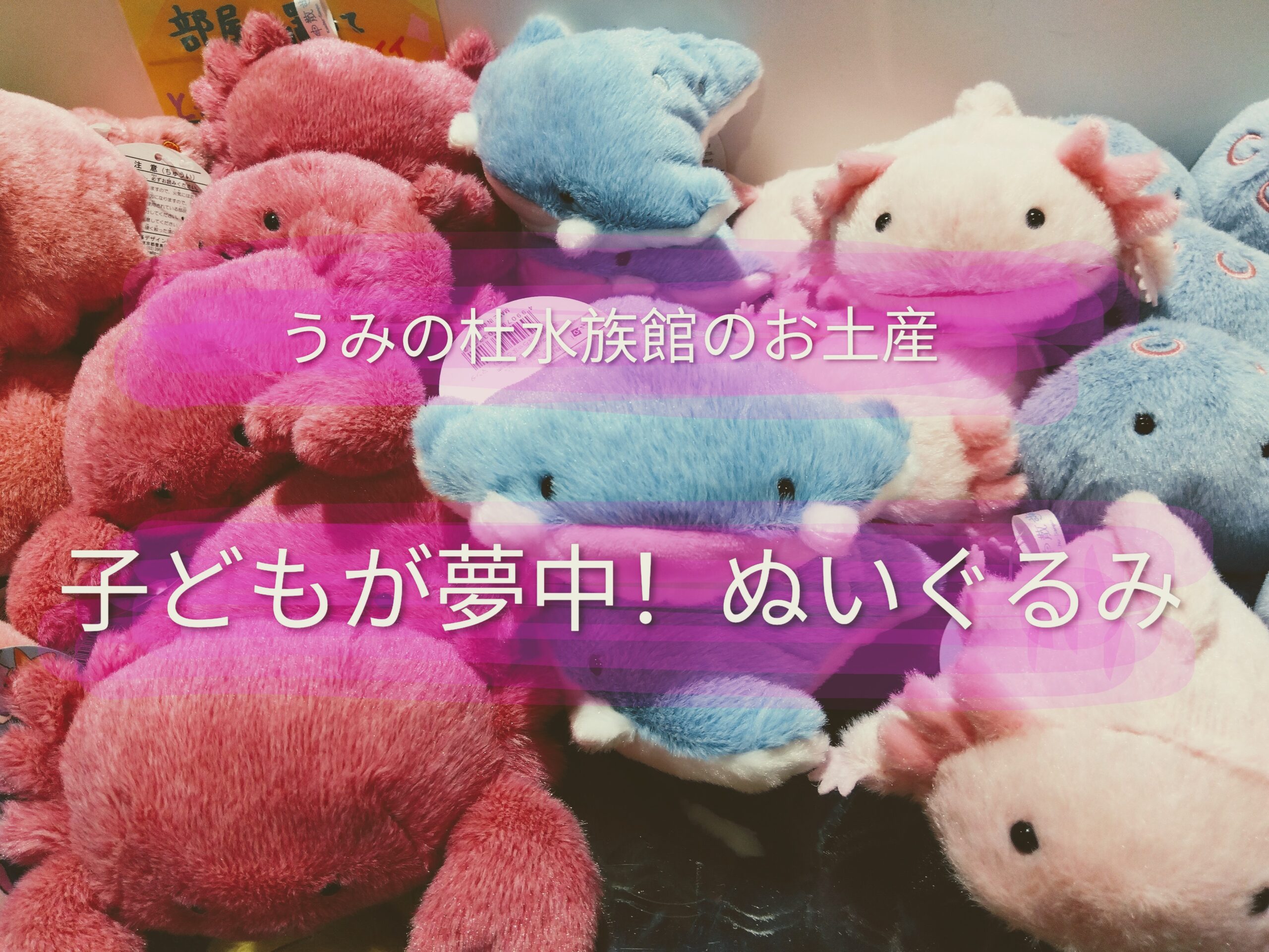 【仙台うみの杜水族館】お土産のぬいぐるみ選びが楽しすぎた!子どもが夢中になる理由とリアル体験