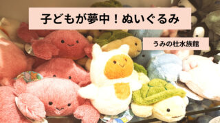 【仙台うみの杜水族館】お土産のぬいぐるみ選びが楽しすぎた！子どもが夢中になる理由とリアル体験