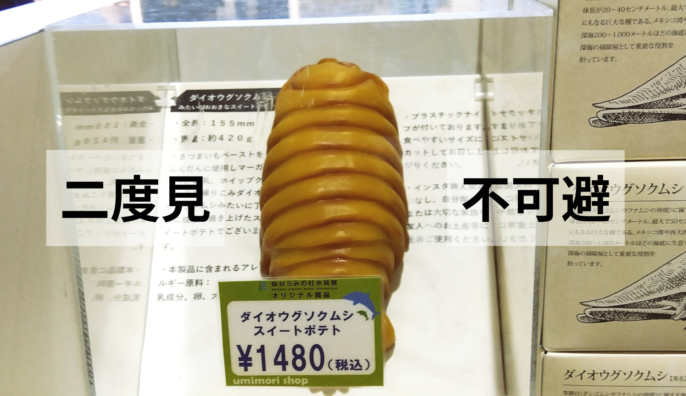 子どもが引いた。親はハマった。ダイオウグソクムシスイートポテト実食レポ