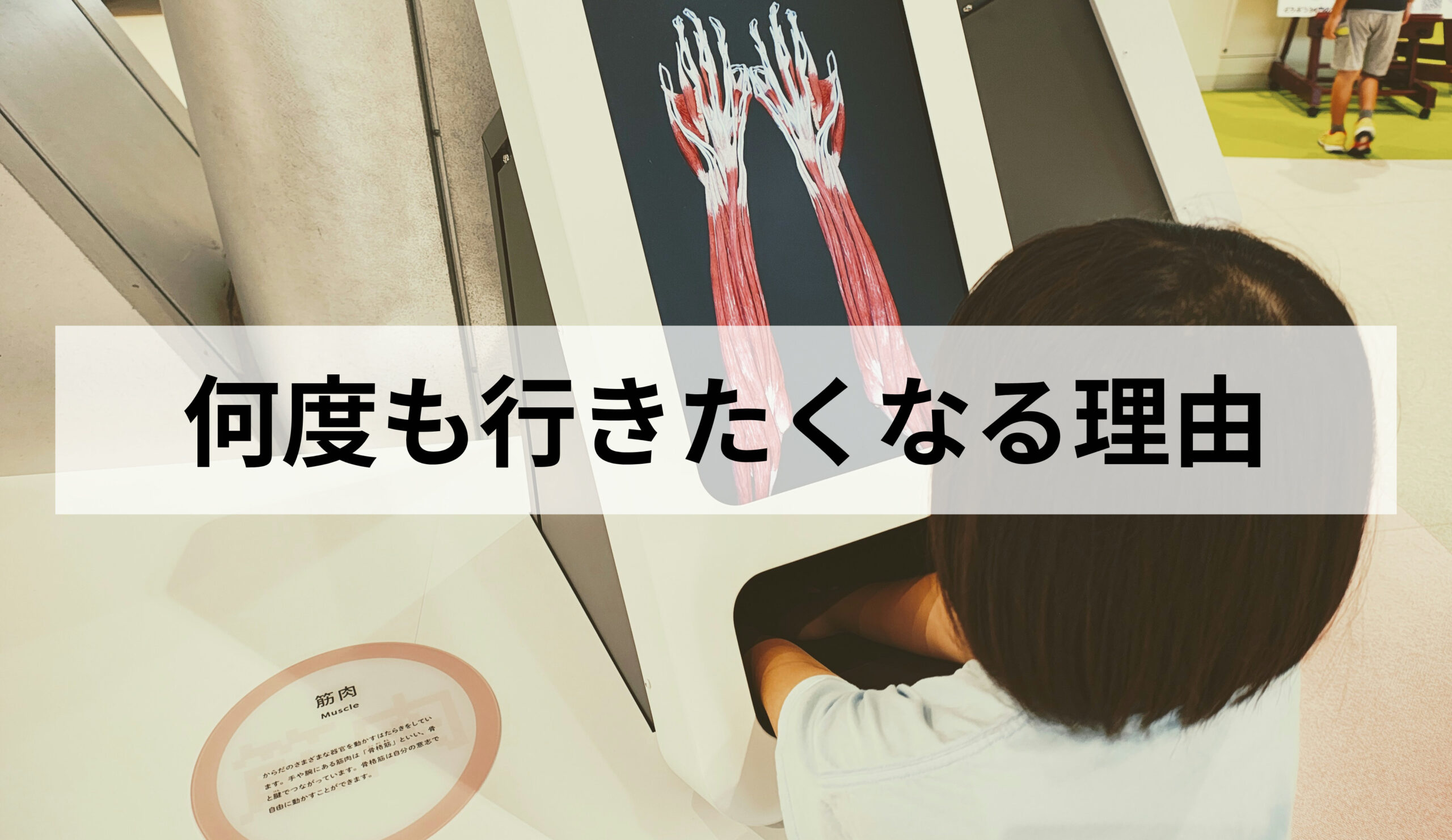 【仙台市科学館】子どもと何度も行きたくなる理由|年長〜小学生におすすめの体験スポット