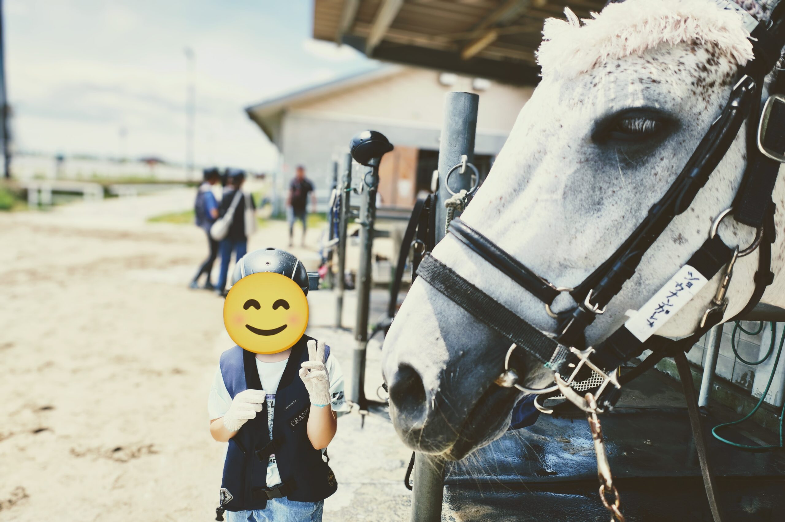 仙台市海岸公園馬術場へ行こう！馬とのふれあいや見学も楽しめるスポット