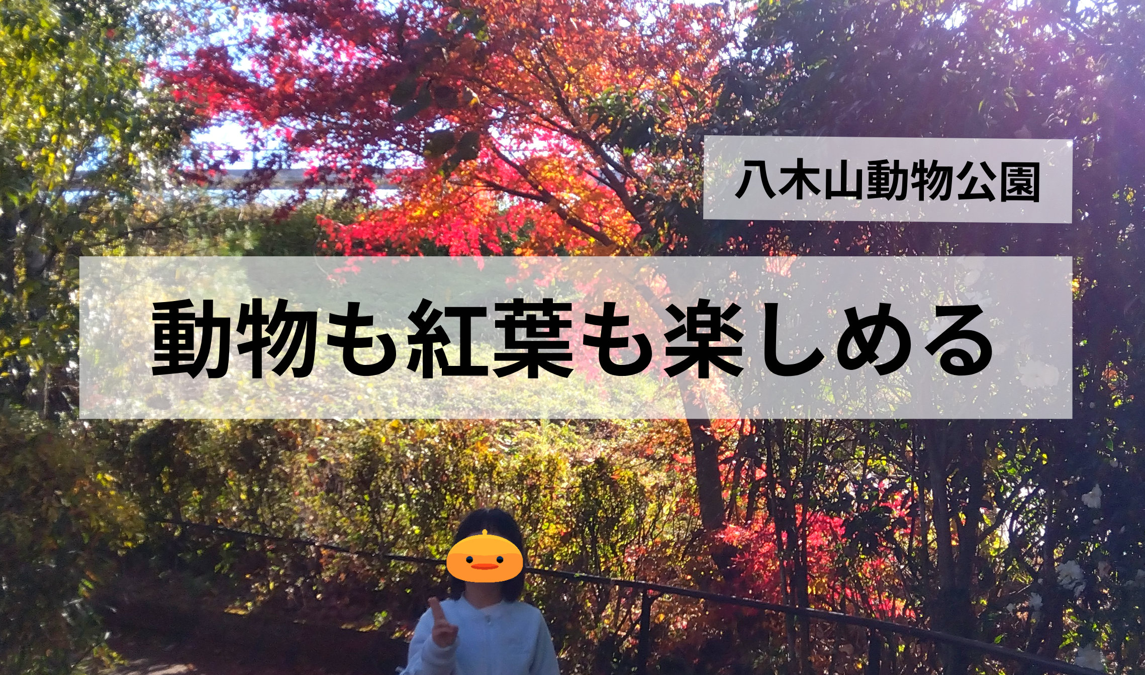 仙台市│八木山動物公園で紅葉も楽しめた！秋の子連れおでかけ