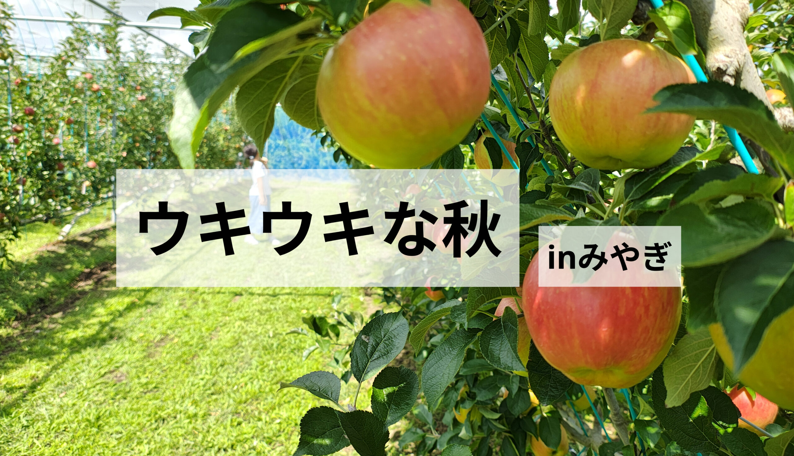 紅葉に果物狩りに♪宮城の秋を楽しむおでかけ＆イベント