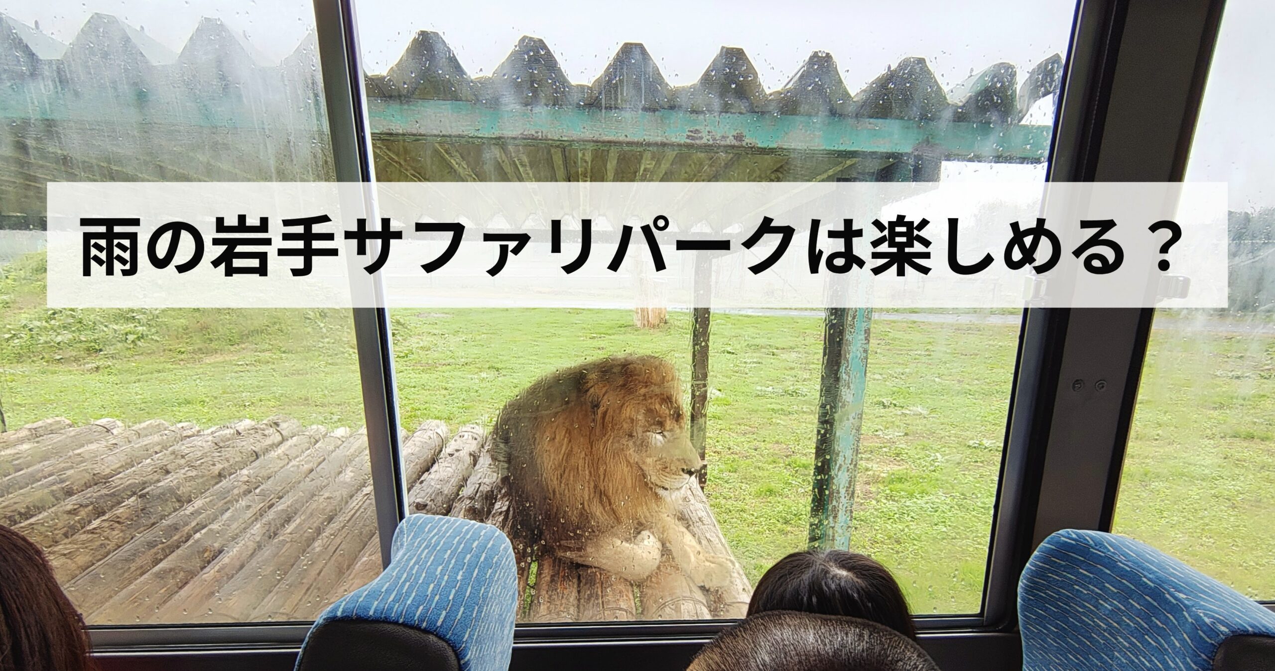 岩手サファリパークは雨でも楽しめる？実際に行ってわかったこと